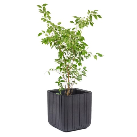 Doniczka Keter Cube Wood Planter L antracyt Doniczka Keter Cube Wood Planter L antracyt
