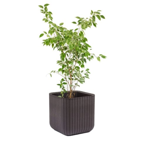 Doniczka Keter Cube Wood Planter M brązowa Doniczka Keter Cube Wood Planter M brązowa