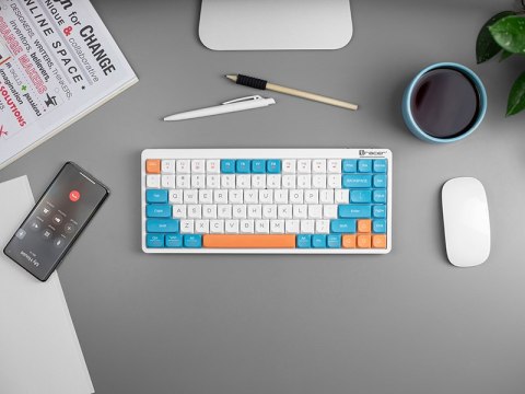 Klawiatura mechaniczna Tracer FINA 84 White/Blue (Outemu Red Switch) Klawiatura mechaniczna Tracer FINA 84 White/Blue (Outemu Red Switch)