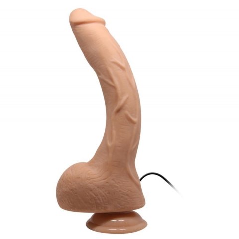 BAILE-Beautiful Jack 10.6"""" BAILE-Beautiful Jack 10.6""""