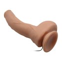BAILE-Beautiful Jack 10.6""""