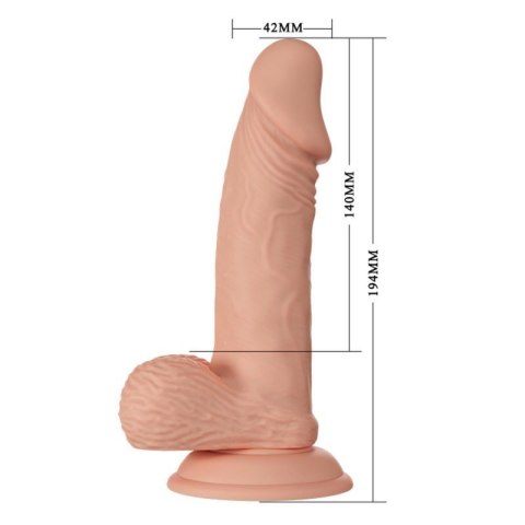 BAILE-Beautiful Zebulon 7.6"""" BAILE-Beautiful Zebulon 7.6""""