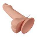 BAILE-Beautiful Zebulon Vibration 7.6""""