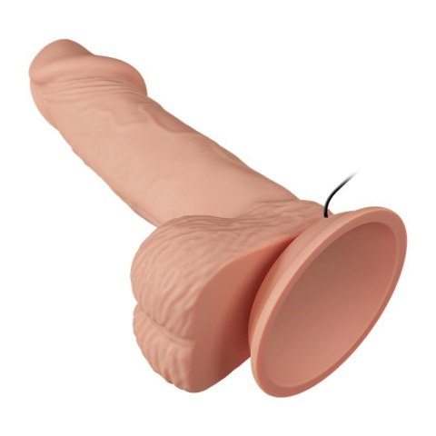 BAILE-Beautiful Zebulon Vibration 7.6"""" BAILE-Beautiful Zebulon Vibration 7.6""""