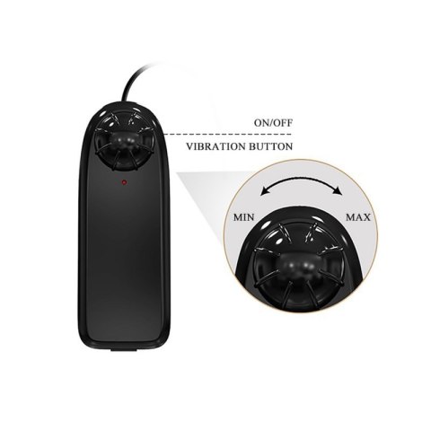 BAILE-Beautiful Zebulon Vibration 7.6"""" BAILE-Beautiful Zebulon Vibration 7.6""""