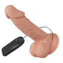 BAILE-Beautiful Zebulon Vibration 7.6""""