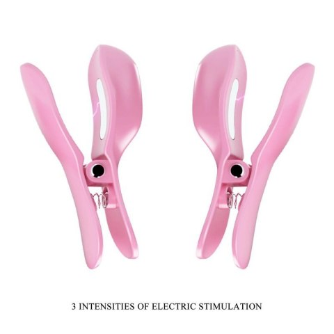 PRETTY LOVE - Surprise Box Pink, 12 vibration functions 3 electric shock functions PRETTY LOVE - Surprise Box Pink, 12 vibration functions 3 electric shock functions
