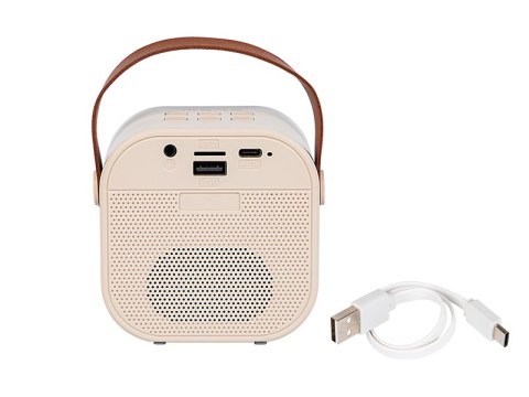 30-358# Głośnik bluetooth karaoke rgb 2 mikrofony 30-358# Głośnik bluetooth karaoke rgb 2 mikrofony