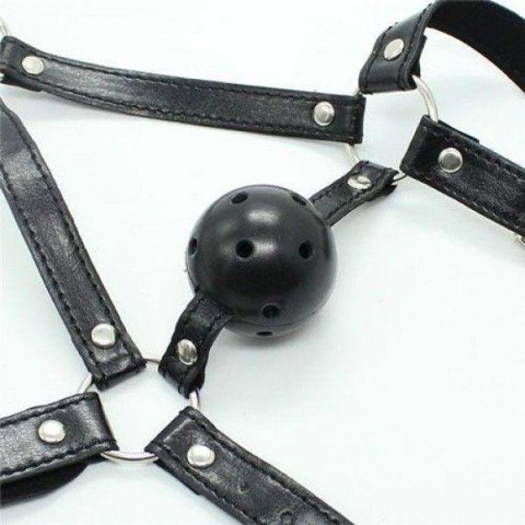Knebel-Imbracatura Viso con morso Head Harness+Ball Gag Knebel-Imbracatura Viso con morso Head Harness+Ball Gag