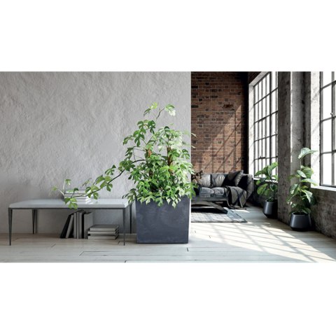 Doniczka URBI CASE TOWER BETON EFFECT -
antracytowy Doniczka URBI CASE TOWER BETON EFFECT -
antracytowy