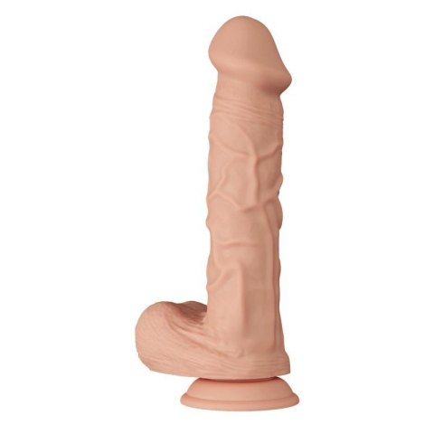 BAILE-Beautiful Bergrisi 10.2"""" BAILE-Beautiful Bergrisi 10.2""""
