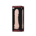 BAILE - The Big Penis