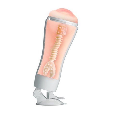 CRAZY BULL - Flora, Suction base CRAZY BULL - Flora, Suction base