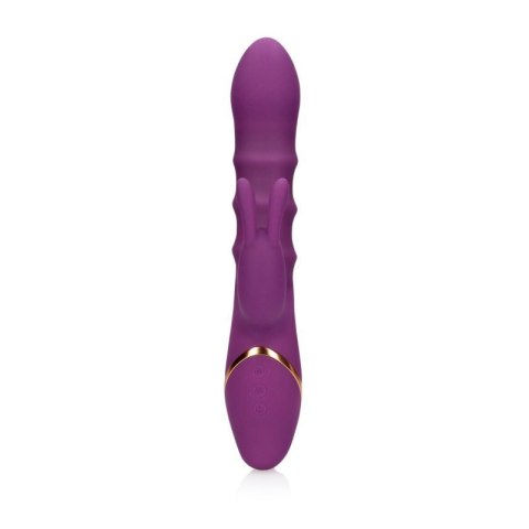 3 Up-and-Down Moving Rings Vibrator 3 Up-and-Down Moving Rings Vibrator