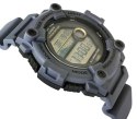 ZEGAREK CASIO WS-1300H-8AVEF + BOX