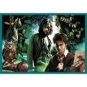 Puzzle 10w1 Harry Potter W świecie Harrego Pottera 90392