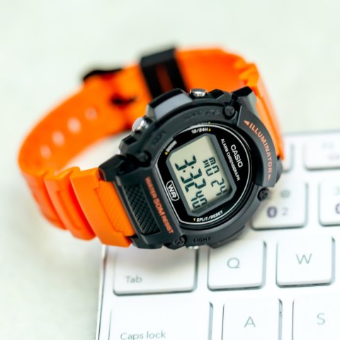 ZEGAREK MĘSKI CASIO W-219H-4A + BOX ZEGAREK MĘSKI CASIO W-219H-4A + BOX