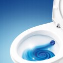 Duck Fresh Discs Blue - Żelowy Krążek Do Toalety 36ml + Aplikator