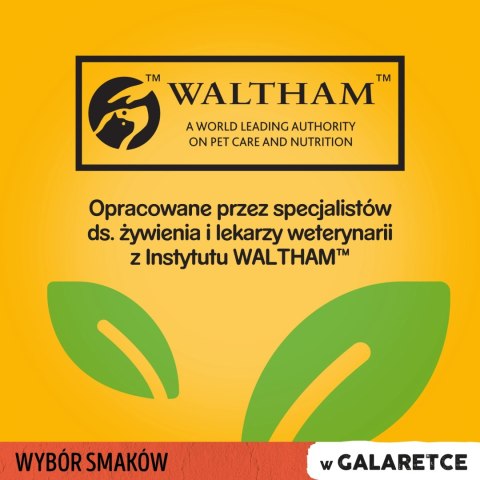 Pedigree Mokra Karma Dla Dorosłych Psów W Galaretce (Z Wołowiną, Z Drobiem) 4x100g Pedigree Mokra Karma Dla Dorosłych Psów W Galaretce (Z Wołowiną, Z Drobiem) 4x100g