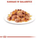 ROYAL CANIN Ageing +12 Gelee 12x85g