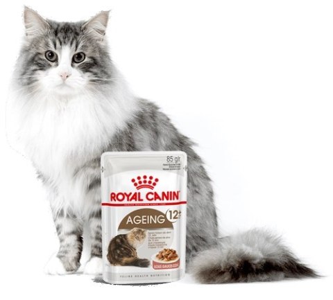 ROYAL CANIN Ageing +12 Sauce 12x85g ROYAL CANIN Ageing +12 Sauce 12x85g