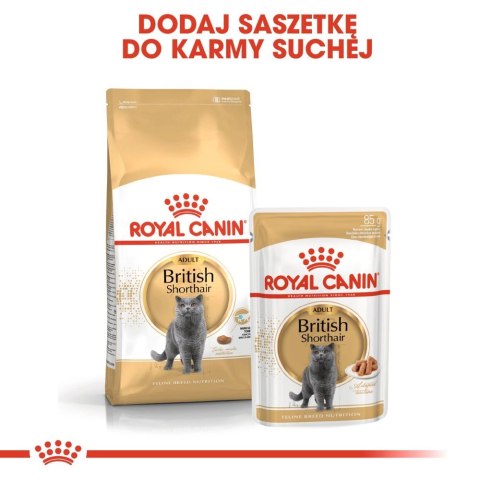 ROYAL CANIN British Shorthair Adult 12x85g ROYAL CANIN British Shorthair Adult 12x85g
