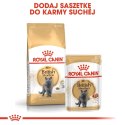 ROYAL CANIN British Shorthair Adult 400g