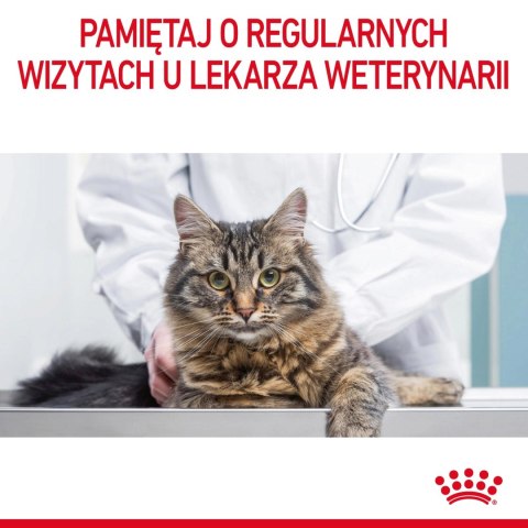 ROYAL CANIN Intense Beauty Gravy 12x85g ROYAL CANIN Intense Beauty Gravy 12x85g