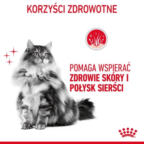 ROYAL CANIN Intense Beauty Gravy 12x85g ROYAL CANIN Intense Beauty Gravy 12x85g