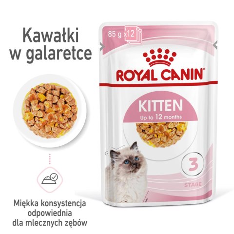 ROYAL CANIN Kitten Instinctive W Galaretce 12x85g ROYAL CANIN Kitten Instinctive W Galaretce 12x85g