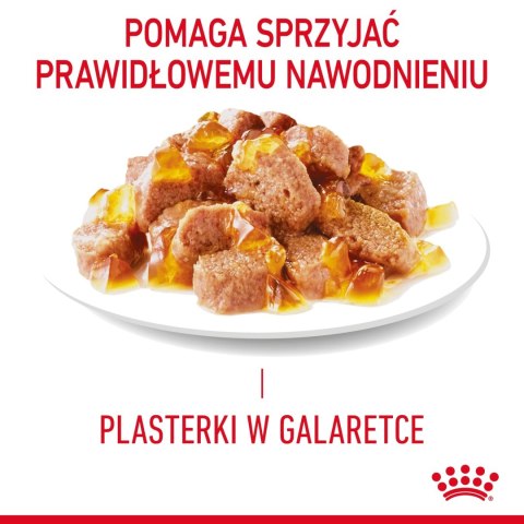 ROYAL CANIN Light Weight Care W Galaretce 12x85g ROYAL CANIN Light Weight Care W Galaretce 12x85g