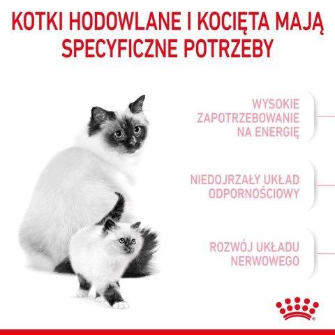 ROYAL CANIN Mother & Babycat 2kg ROYAL CANIN Mother & Babycat 2kg