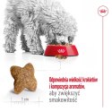 ROYAL CANIN Mini Adult 800g
