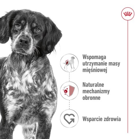 ROYAL CANIN Medium Adult 10x140g ROYAL CANIN Medium Adult 10x140g