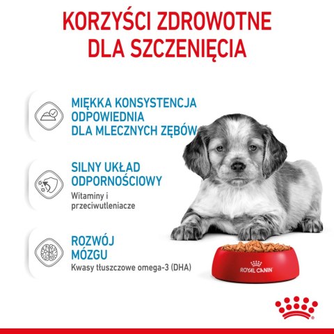 ROYAL CANIN Medium Puppy 10x140g ROYAL CANIN Medium Puppy 10x140g