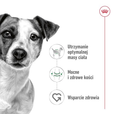 ROYAL CANIN Mini Adult 12x85g ROYAL CANIN Mini Adult 12x85g