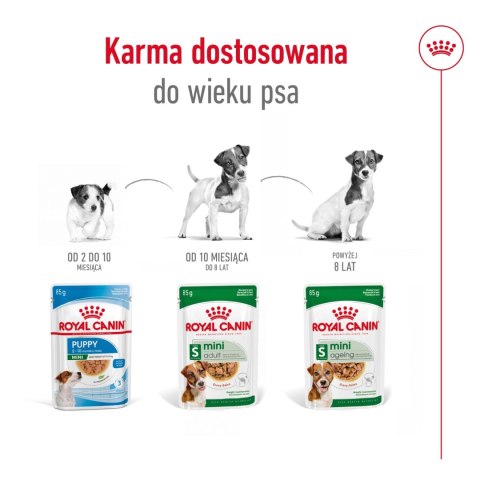 ROYAL CANIN Mini Adult 12x85g ROYAL CANIN Mini Adult 12x85g