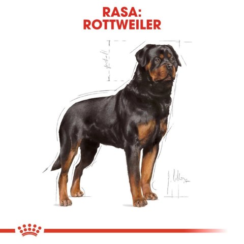 ROYAL CANIN Rottweiler Adult 12kg ROYAL CANIN Rottweiler Adult 12kg