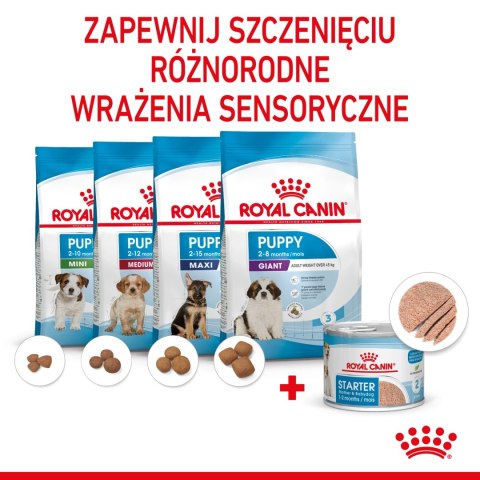 ROYAL CANIN Starter Mousse Mother & Babydog 195g ROYAL CANIN Starter Mousse Mother & Babydog 195g