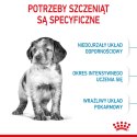 ROYAL CANIN Medium Puppy 1kg