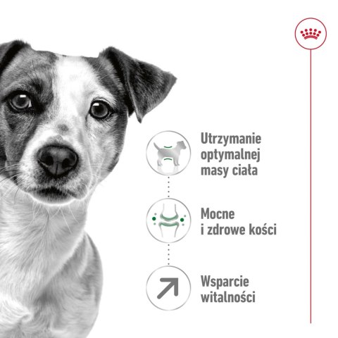 ROYAL CANIN Mini Adult 8+ 2kg ROYAL CANIN Mini Adult 8+ 2kg
