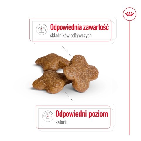 ROYAL CANIN Mini Adult 8+ 2kg ROYAL CANIN Mini Adult 8+ 2kg
