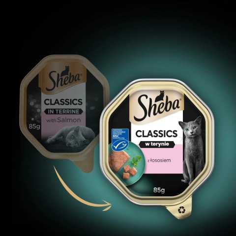 Sheba Classics Z Łososiem 85g Sheba Classics Z Łososiem 85g