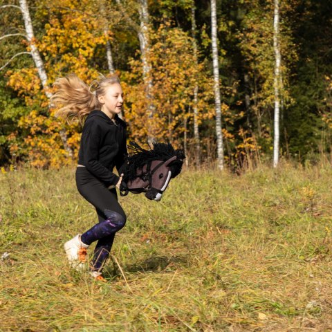 HOBBY HORSE SKIPPI A3 - GNIADY- ZABAWKA DLA DZIEWĆZYNKI - KONIK NA KIJU HOBBY HORSE SKIPPI A3 - GNIADY- ZABAWKA DLA DZIEWĆZYNKI - KONIK NA KIJU