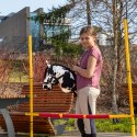 SKIPPI HOBBY HORSE - W PLAMY - ĆZARNE PLAMKI - KOŃ NA KIJU - KANTAR