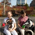 SKIPPI HOBBY HORSE - W PLAMY - ĆZARNE PLAMKI - KOŃ NA KIJU - KANTAR