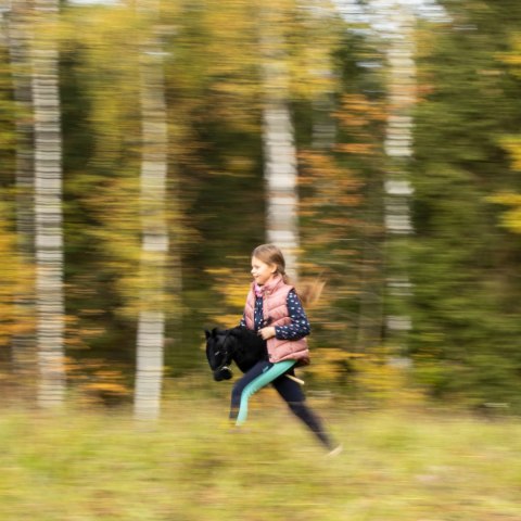 SKIPPI HOBBY HORSE Z KANTAREM ĆZARNY KOŃ A3 DUŻY SKIPPI HOBBY HORSE Z KANTAREM ĆZARNY KOŃ A3 DUŻY