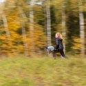 SKIPPI HOBBY HORSE Z KANTAREM WODZAMI KOŃ A3 DUŻY