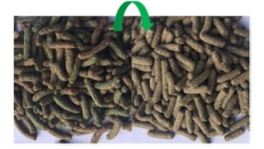 Versele-Laga Cuni Junior Complete - Pokarm Dla Młodych Królików 1,75kg Versele-Laga Cuni Junior Complete - Pokarm Dla Młodych Królików 1,75kg