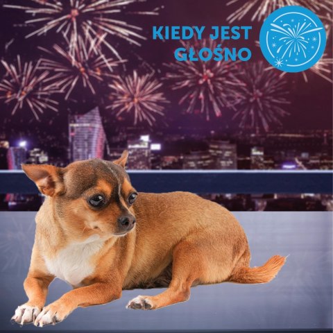 Ceva Animal Health Polska Sp. Z O.o. Adaptil Dyfuzor 48ml Ceva Animal Health Polska Sp. Z O.o. Adaptil Dyfuzor 48ml